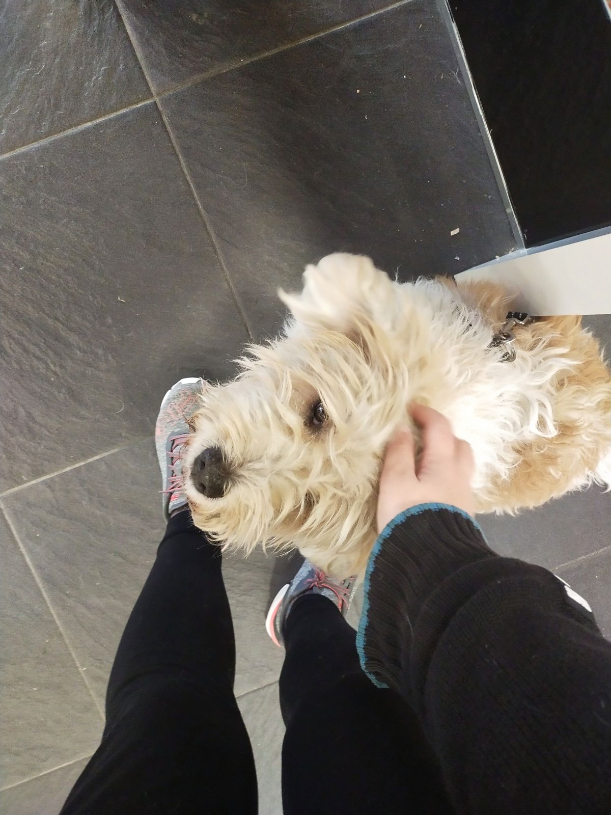 Imagen 3 del anuncio de @leire24105 en duduo.