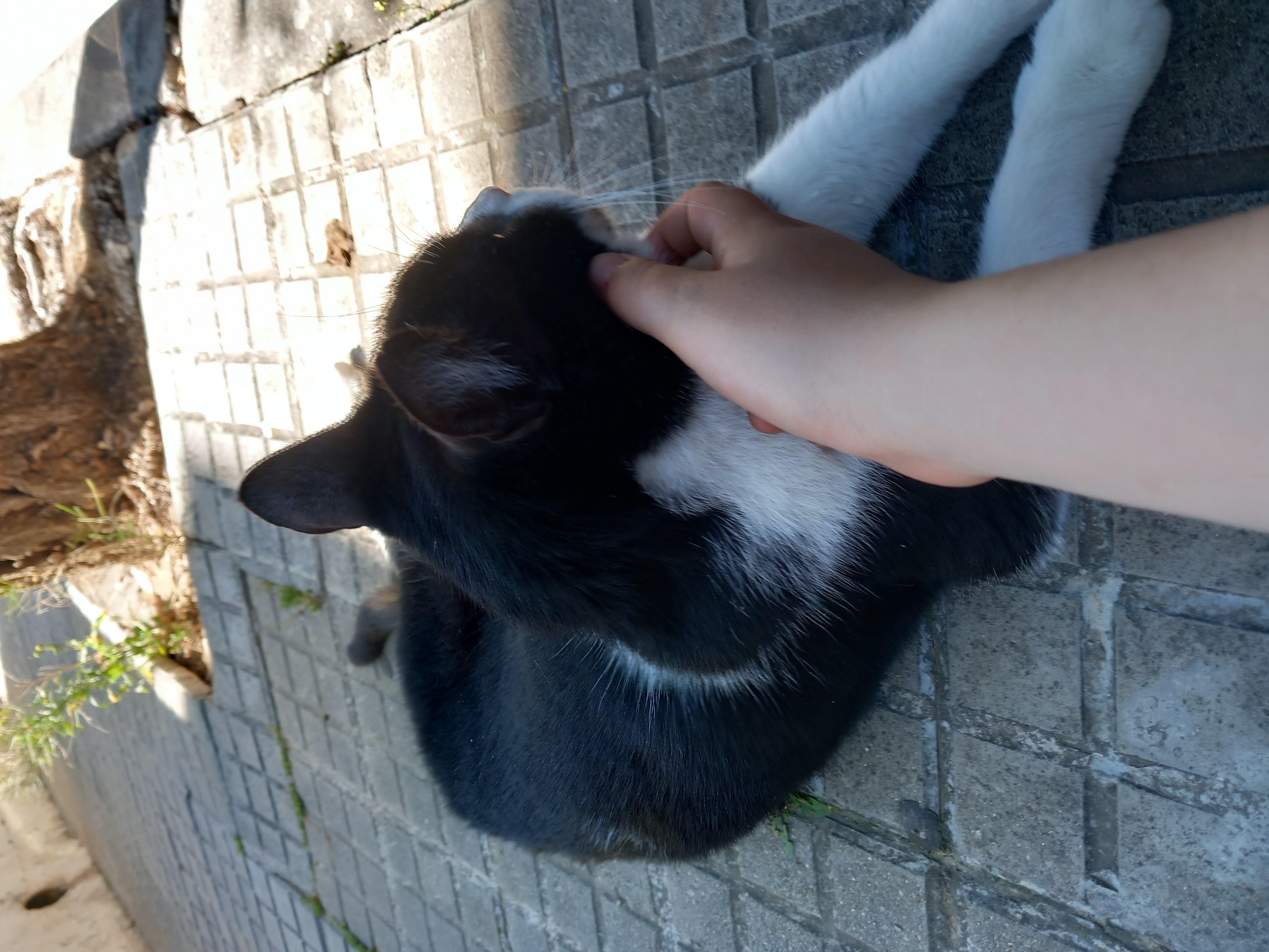 Imagen 3 del anuncio de @ares en duduo.