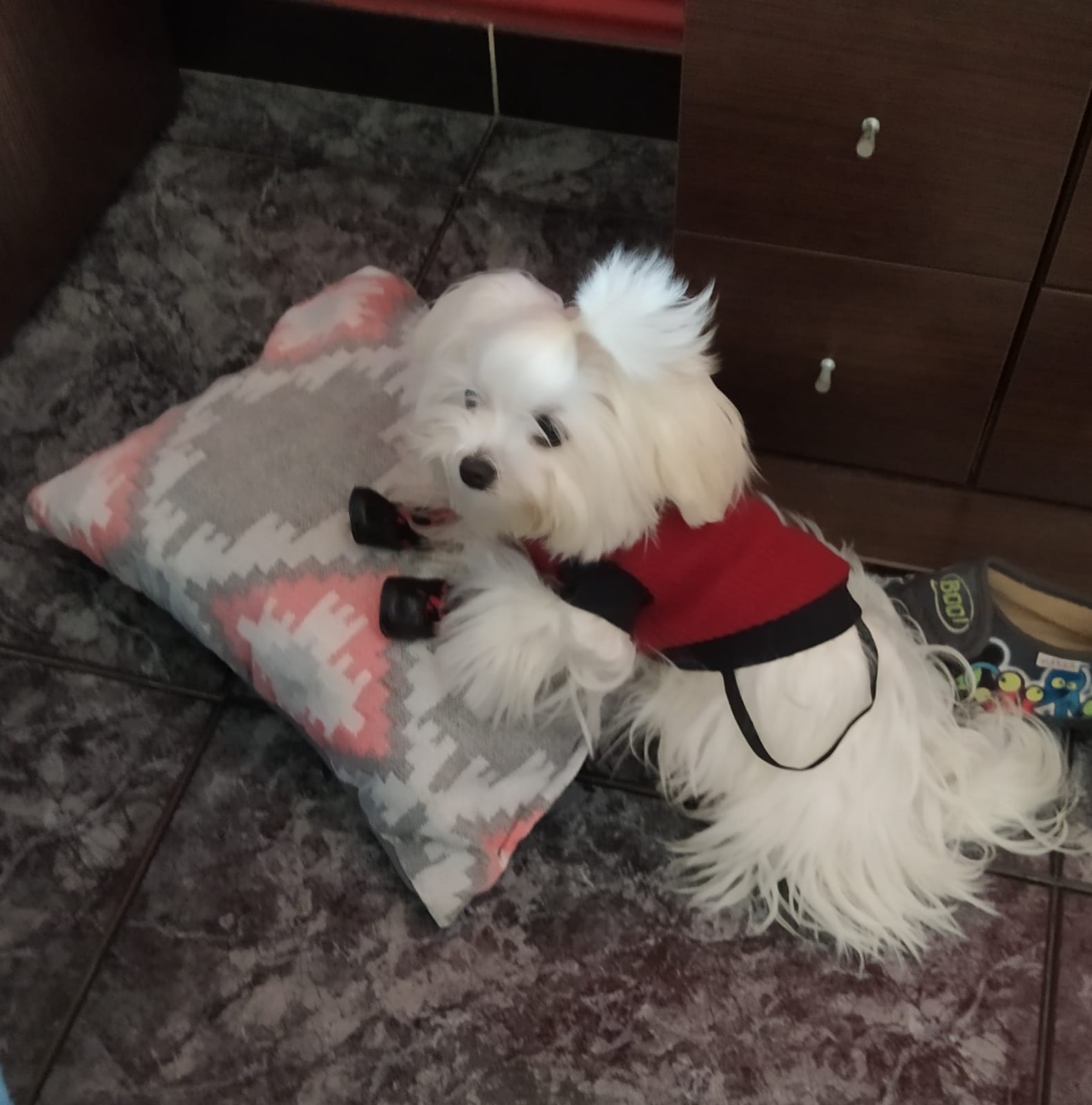 Imagen 4 del anuncio de @ares en duduo.