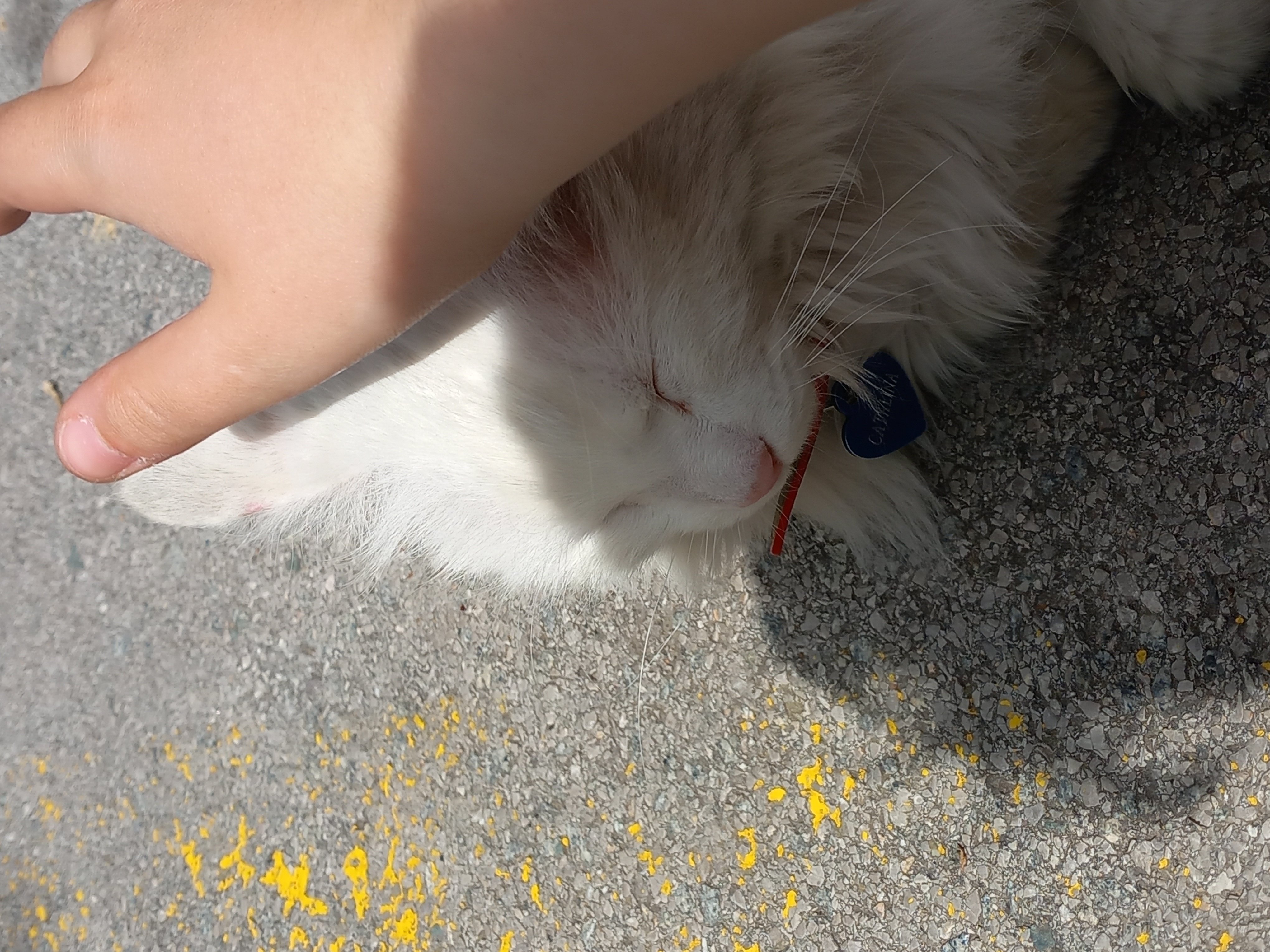 Imagen 2 del anuncio de @ares en duduo.