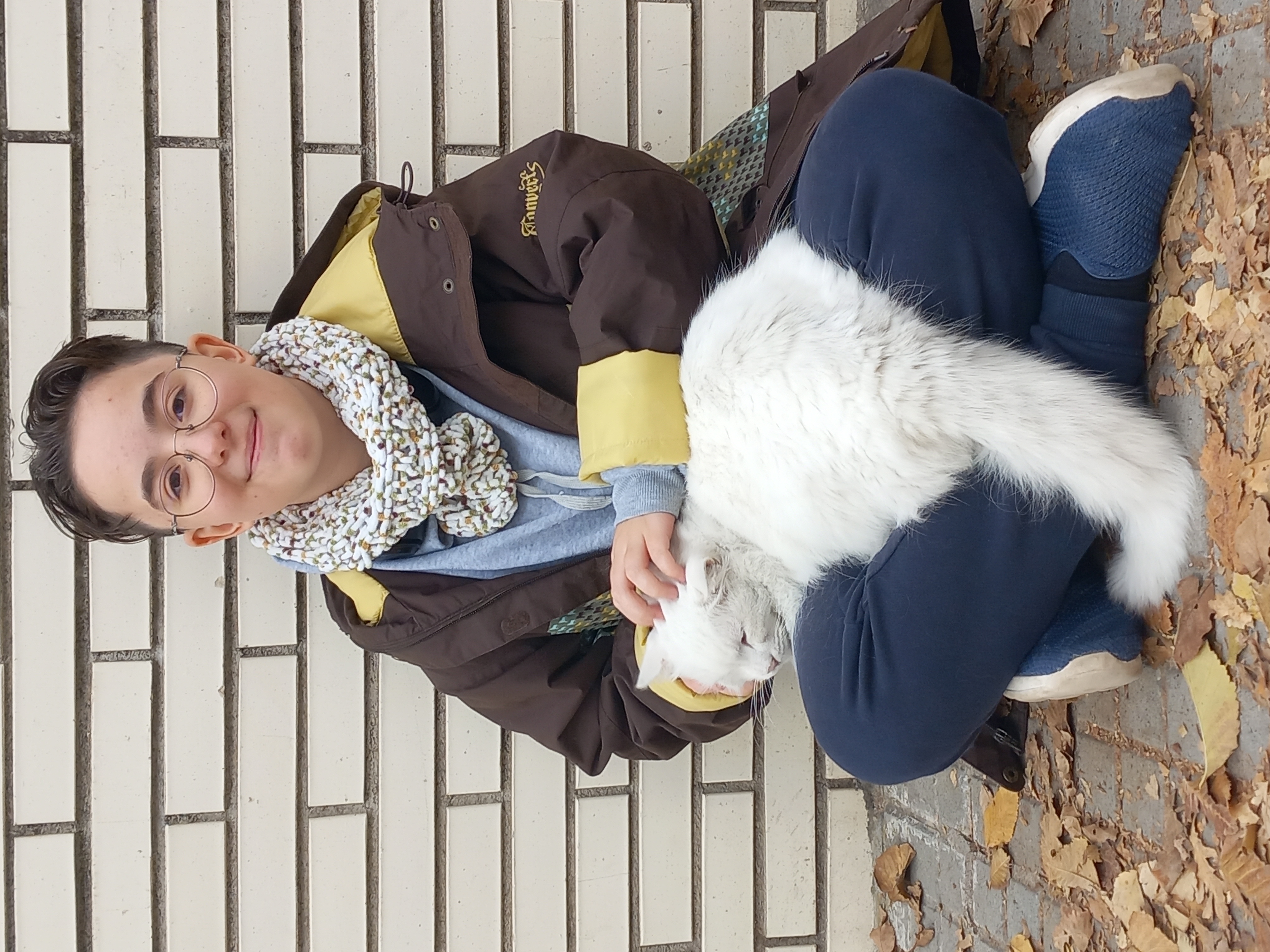 Imagen 1 del anuncio de @ares en duduo.